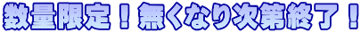 数量限定！無くなり次第終了！